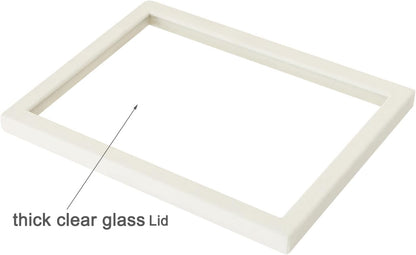 Coward Sunglass Organizer, Beige Velvet Glasses Trays - Eyeglasses Watches Jewelry Display - Men Women (8 Grids)
