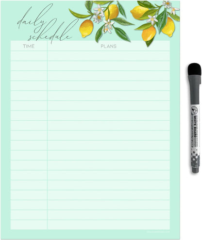 Dry Erase Daily Schedule Planner Sticker Decal by Glassboard Studio | Removable & Reusable | Magnetic Fine-Tip Marker Included (9 x 12 inches, White)