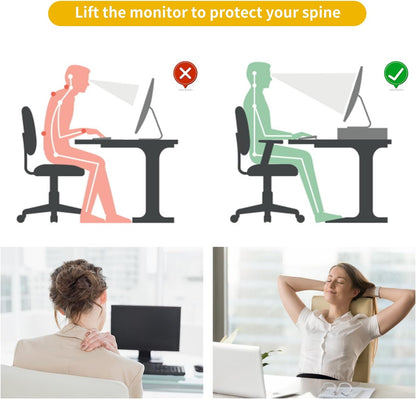 gianotter Monitor Stand Riser, Office Desk Shelf Organizer, Desk Organizer with Drawer and Pen Holder, 2-Tier Computer Stand, Office Organization (Ink)