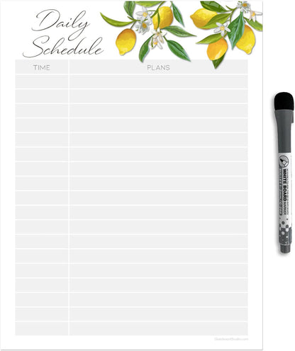 Dry Erase Daily Schedule Planner Sticker Decal by Glassboard Studio | Removable & Reusable | Magnetic Fine-Tip Marker Included (9 x 12 inches, White)