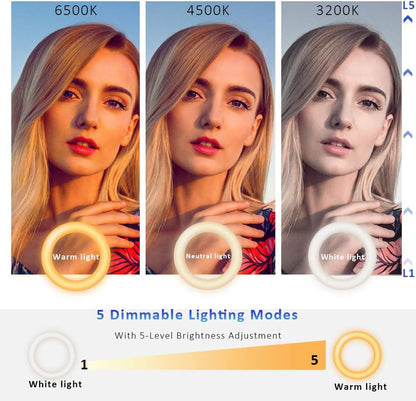 Cyezcor Video Conference Lighting Kit, Ring Light for Monitor Clip On,for Remote Working, Distance Learning,Zoom Call, Self Broadcasting and Live Streaming, Computer Laptop Video Conferencing