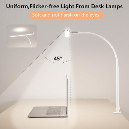 LED Desk Lamp for Office Home, Adjustable Flexible Eye-Caring Desk Light with,5 Modes 10 Brightness Adjustment, USB Adapter Desk Lamp with Clamp-MINI-B