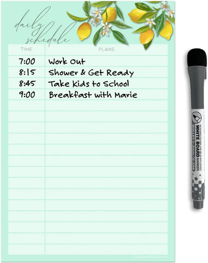 Dry Erase Daily Schedule Planner Sticker Decal by Glassboard Studio | Removable & Reusable | Magnetic Fine-Tip Marker Included (9 x 12 inches, White)