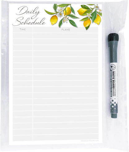 Dry Erase Daily Schedule Planner Sticker Decal by Glassboard Studio | Removable & Reusable | Magnetic Fine-Tip Marker Included (9 x 12 inches, White)