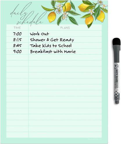 Dry Erase Daily Schedule Planner Sticker Decal by Glassboard Studio | Removable & Reusable | Magnetic Fine-Tip Marker Included (9 x 12 inches, White)