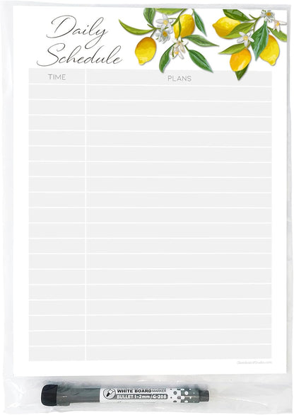 Dry Erase Daily Schedule Planner Sticker Decal by Glassboard Studio | Removable & Reusable | Magnetic Fine-Tip Marker Included (9 x 12 inches, White)