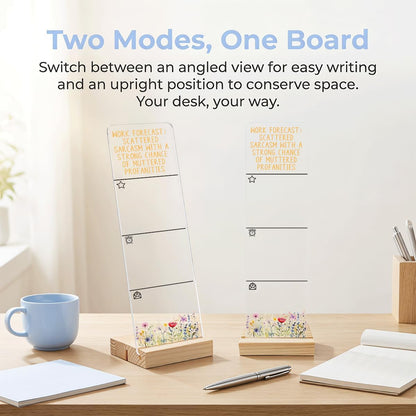 Sticky Note Holder Acrylic Monitor Memo Board Desk Organizers and Accessories Desk Decor Post It Note Holder with 200Pcs Sticky Notes Funny Sarcastic Office Positive Desk Sign