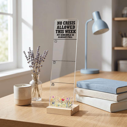 Sticky Note Holder Acrylic Monitor Memo Board Desk Organizers and Accessories Desk Decor Post It Note Holder with 200Pcs Sticky Notes Funny Sarcastic Office Positive Desk Sign