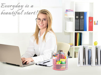 Pencil Holder, Rotating Desk Organizer, Metal Pen Organizer Mesh Pen Holder Office Desk Accessories Cute Office, School, Home,Art Suppliers (Black)