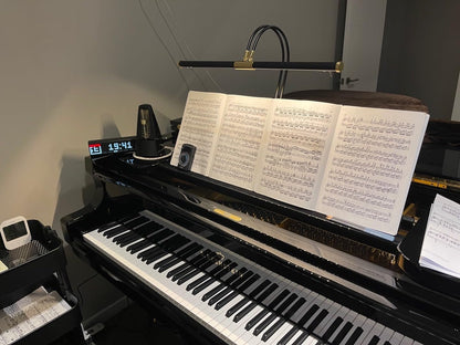 Cocoweb 22" LED Grand Piano Light in Antique Brass with Dimmer Clip