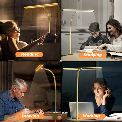 Airlonv LED Desk Lamp for Office Home, Eye-Caring Desk Light with Stepless Dimming Adjustable Flexible Gooseneck, 10W USB Adapter Desk Lamp with Clamp for Reading, Study, Workbench (Black)
