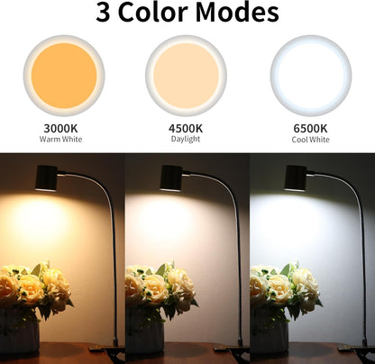 Dott Arts Desk Lamp,USB Clip On Light,Book Lights for Reading at Night,3 Color Modes,10 Brightness Clamp Lights,360° Gooseneck LED Reading Light for Books in Bed,Eye-Care for Home Office,Headboards