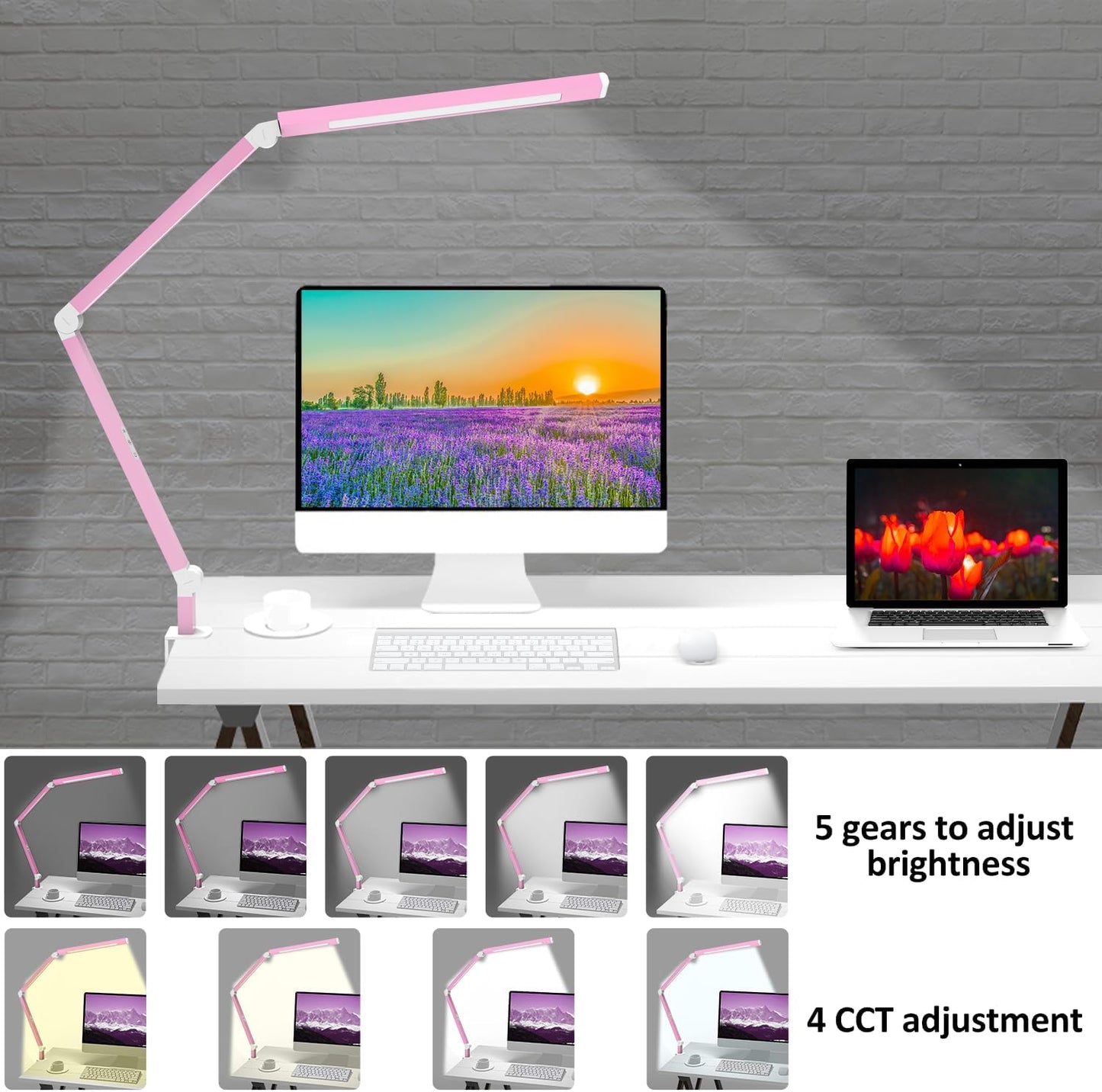 LED Desk Lamp with Clamp, Architect Desk Lamp with Dual Light and Adjustable Swing Arm, Clip-on Eye-Care 4 CCT Modes & 5 Brightness Levels Table Light Modern Computer Lighting for Home Office