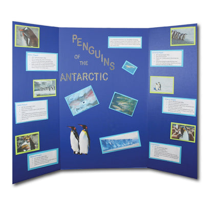 Flipside Products 36” x 48” Project Boards for Presentations, Science Fair, School Projects, Event Displays and Trifold Picture Board, Proudly Made in USA - Black - 4 Pack