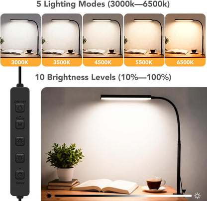 LED Desk Lamp with Clamp, Eye-Protection Clip on Desk Lamp, 5 Modes 10 Brightness Adjustment, 360°Flexible Gooseneck Lamp for Home Office ，Lights with USB Adapter (Black, Mini)