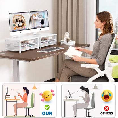 OPNICE Computer Monitor Stand Riser, Desk Organizer with Drawer, Printer & Laptop Stand, Office Desk Accessories & Workspace Desktop Organizers Storage for Office Supplies(Black)