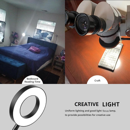Woputne Desk Lamp Clip Light, 10 Dimmable Brightness 3 Light Modes Reading Light, Clamp Bedside Lamp for Painting, Craft, Study (Black)