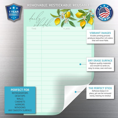 Dry Erase Daily Schedule Planner Sticker Decal by Glassboard Studio | Removable & Reusable | Magnetic Fine-Tip Marker Included (9 x 12 inches, White)