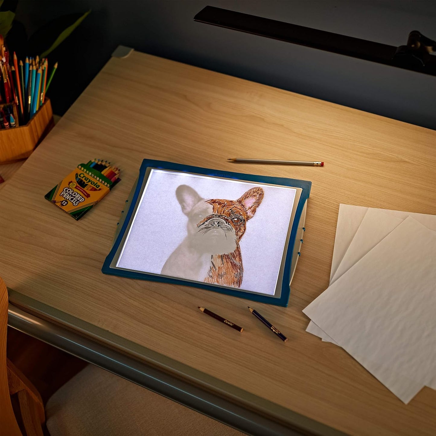 Crayola Light Up Tracing Pad, Pet Pictures, Gift for Pet Lovers, Kids & Adults, Multi