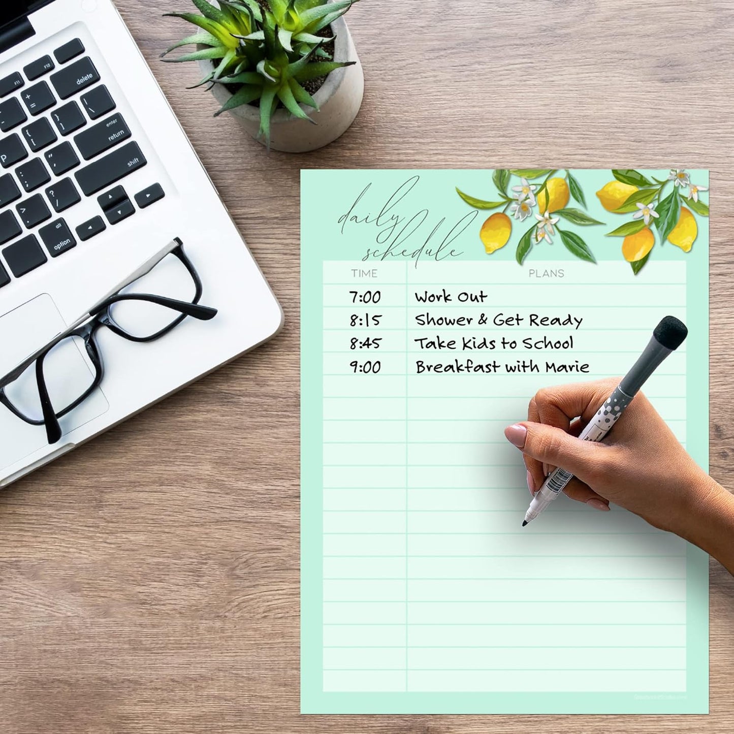 Dry Erase Daily Schedule Planner Sticker Decal by Glassboard Studio | Removable & Reusable | Magnetic Fine-Tip Marker Included (9 x 12 inches, White)