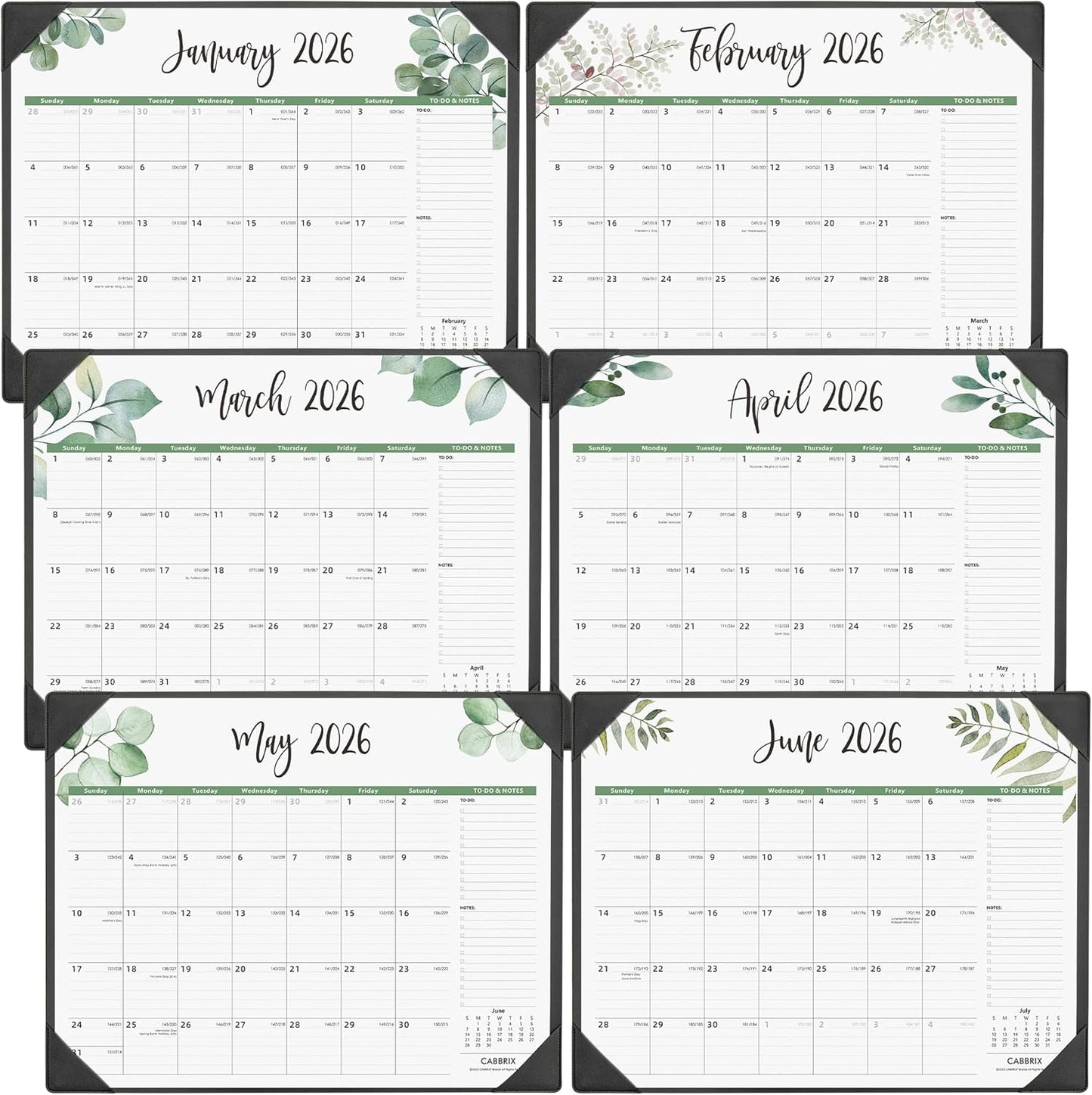 Large Desk Calendar 2026 with Desktop Mat, Cabbrix Desk Pad Calendar 22 x 17 Inch Covering January 2026 to June 2027, Desk Blotter Calendar 2026 for Home School and Office