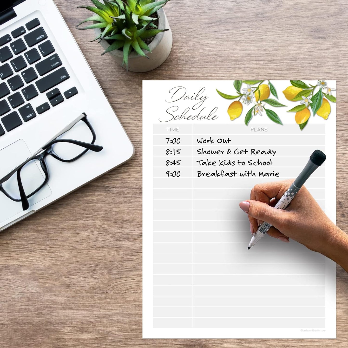 Dry Erase Daily Schedule Planner Sticker Decal by Glassboard Studio | Removable & Reusable | Magnetic Fine-Tip Marker Included (9 x 12 inches, White)