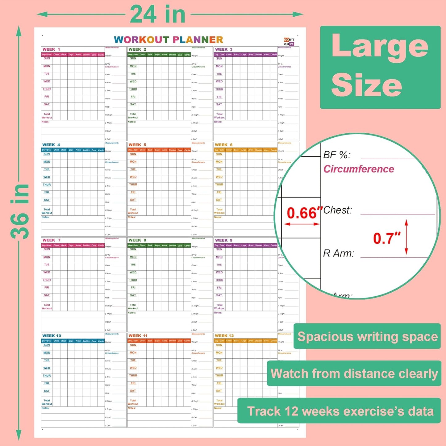 Large Dry Erase Workout Calendar For Wall, 24 X 36 Inch Reusable 12 Week Weight Loss Tracker Chart, Lightweight Gym Whiteboard Poster For Tracking Exercise, Body's Measurement & Circumference