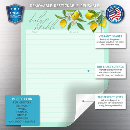 Dry Erase Daily Schedule Planner Sticker Decal by Glassboard Studio | Removable & Reusable | Magnetic Fine-Tip Marker Included (9 x 12 inches, White)