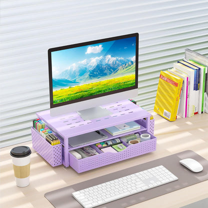 gianotter Monitor Stand Riser, Office Desk Shelf Organizer, Desk Organizer with Drawer and Pen Holder, 2-Tier Computer Stand, Office Organization (Ink)