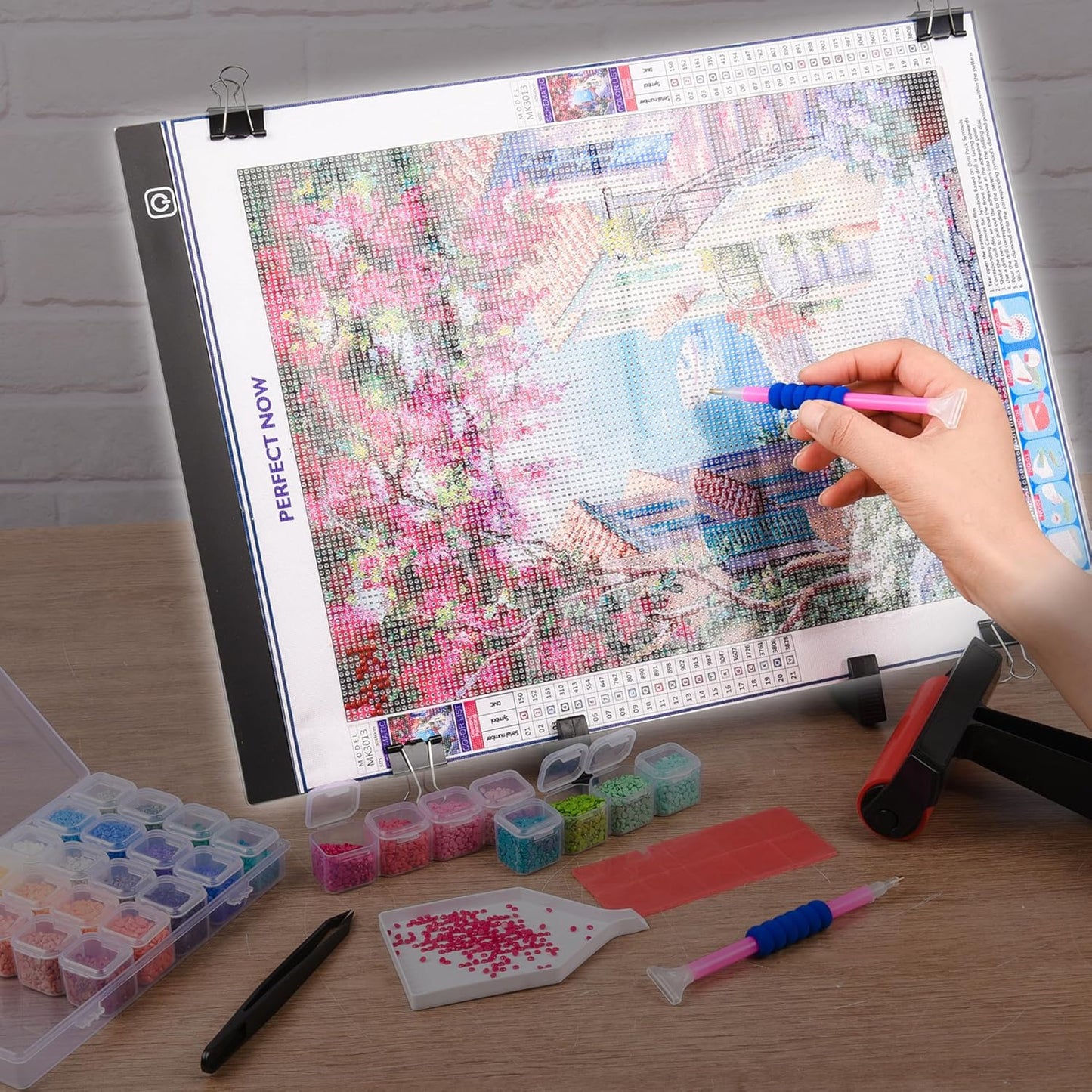 Diamond Painting Storage Accessories Kit with A3 LED Light Pad, Bead Organizers, Drill Pens, Storage Boxes, and Tools for Adult